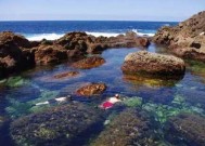 新西兰遭遇极端天气，多地进入紧急状态|界面新闻 · 快讯