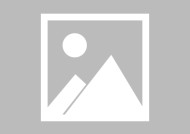 地方新闻精选 | 广东发出全国首份珊瑚礁司法保护令 国企董事长骗领使用身份证被“双开”|界面新闻 · 中国